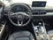 2024 Mazda Mazda CX-5 2.5 S Premium Package